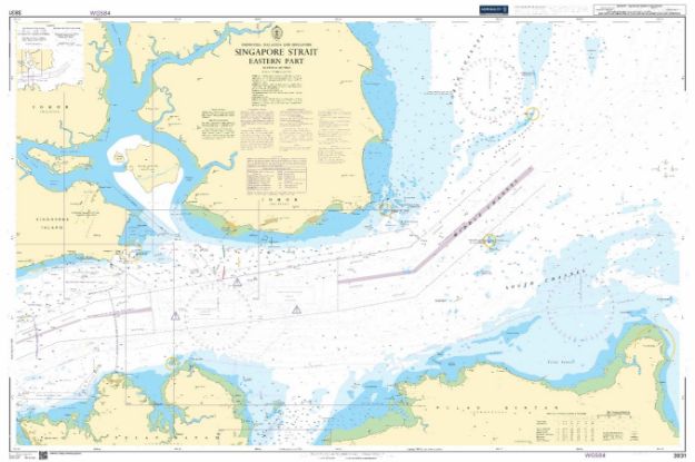 BA 3831 - Singapore Strait - Eastern Part